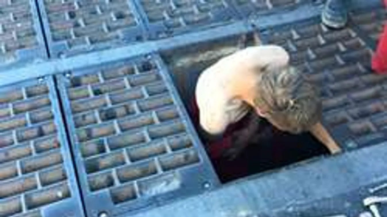 Mezítelen embert húztak ki a csatornából, nem tudni, hogy került oda!