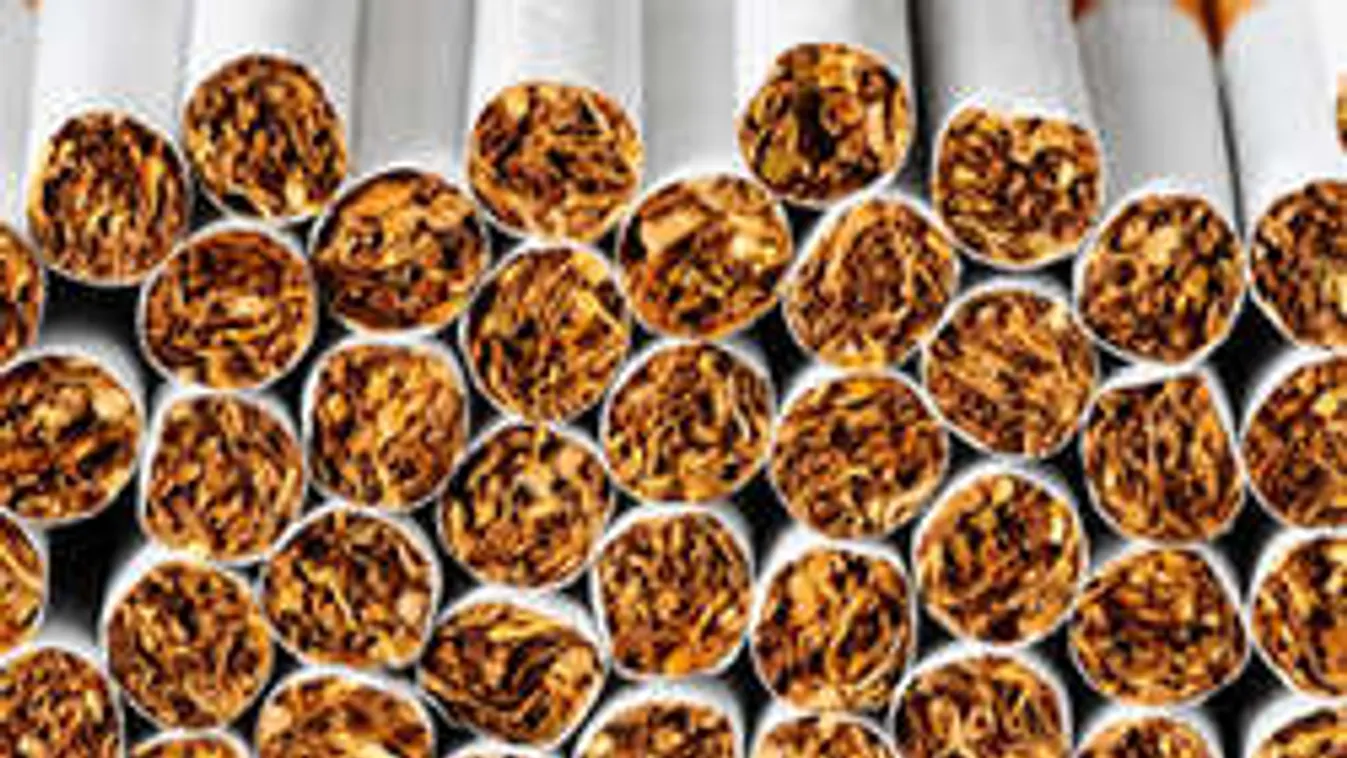 Az év csempészei: 5 ezer kilométert utaztak a cigivel, mégis lebuktak!