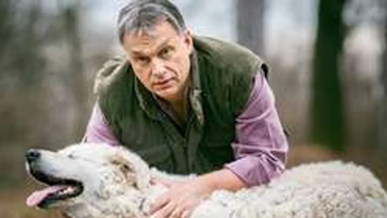 Ki verte ki Orbán Viktor kutyájának a szemét?
