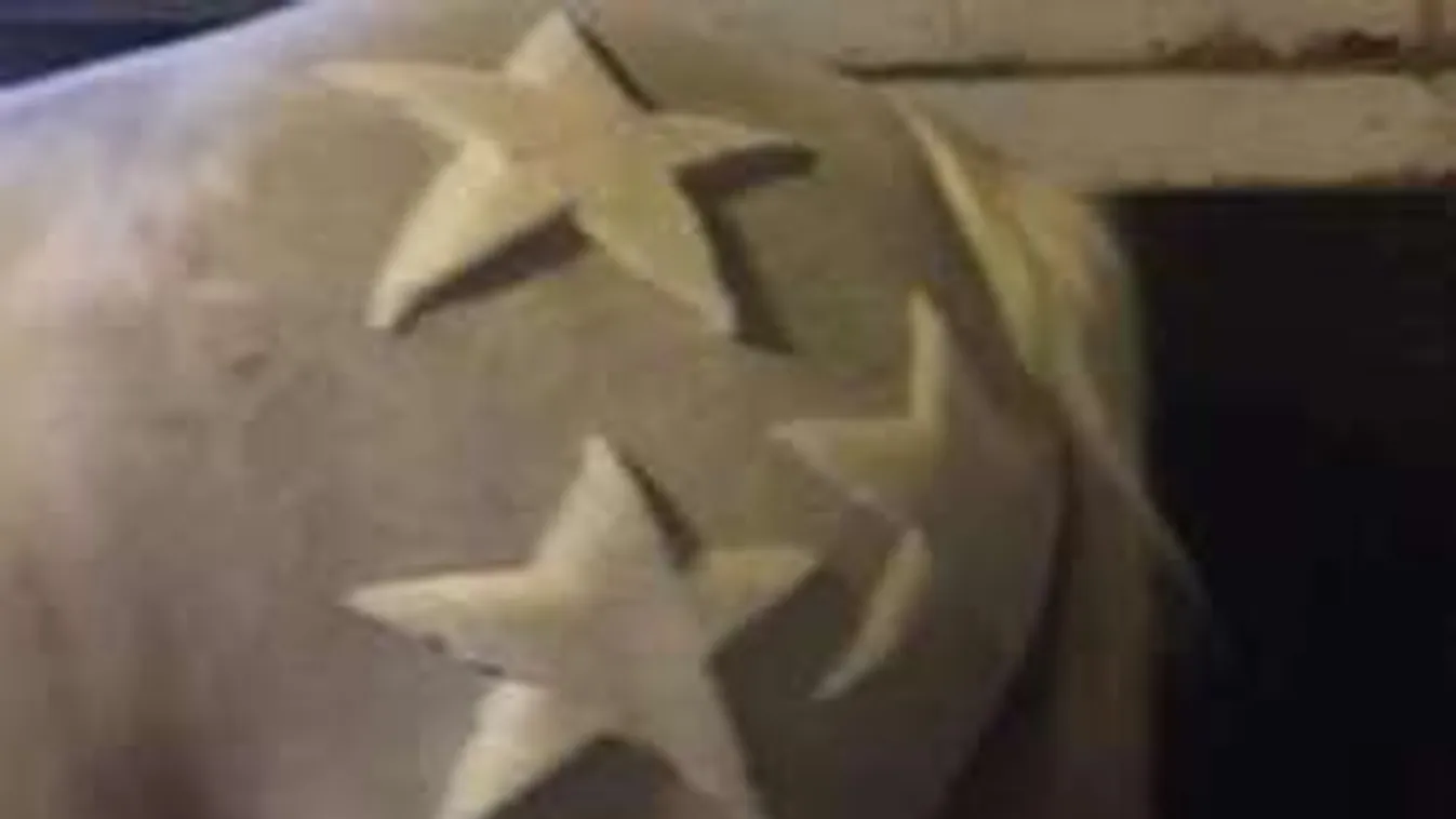 Ilyenek a lovak, miután végzett a lószőrszobrász