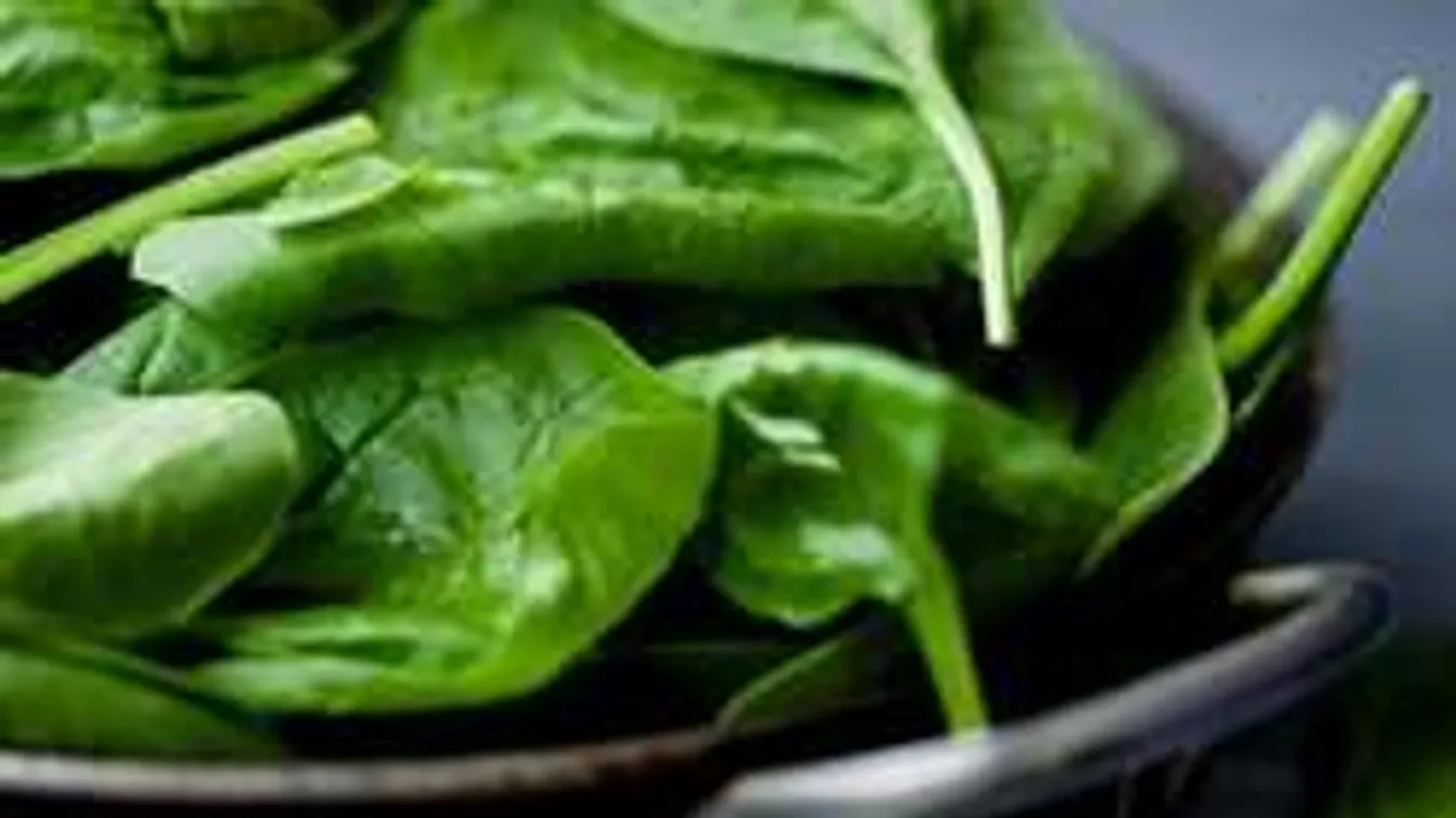 Nem akarsz húst enni? Mutatjuk, mely zöldségekkel lehet pótolni