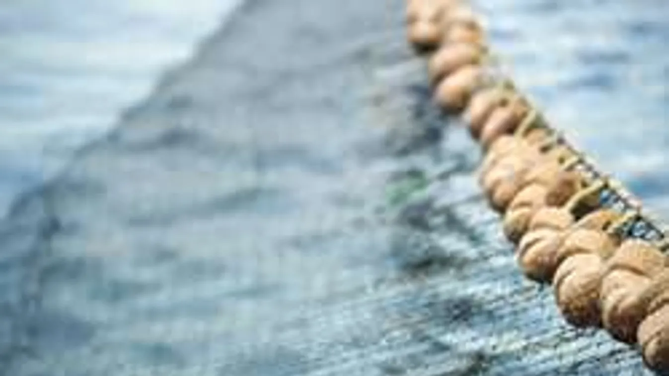 Ilyen egy igazi horrorhal: lábujja és emberi orra is van!