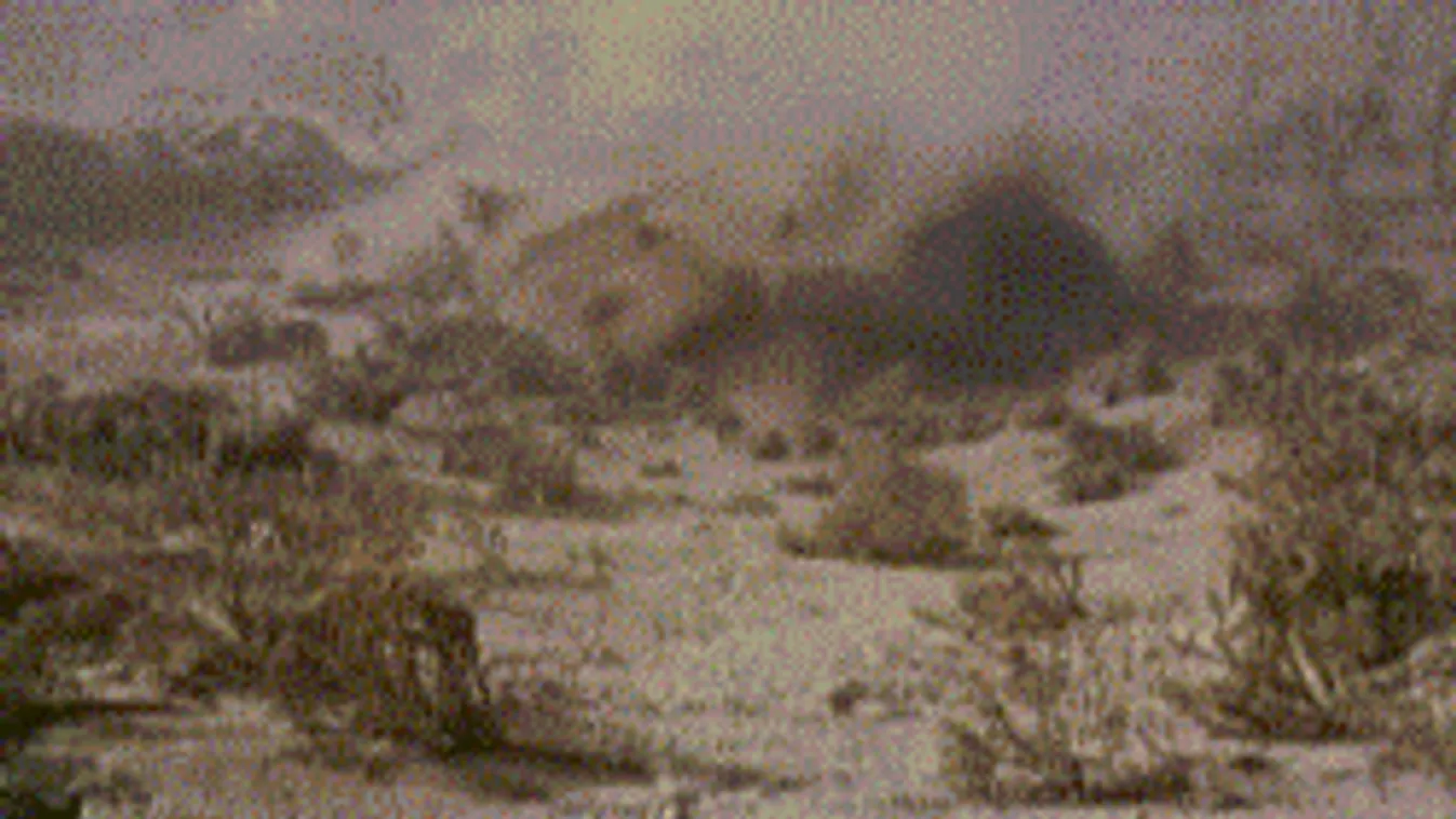 Már most eleged van a széttúrt kertből? Így járj túl a vakond eszén!