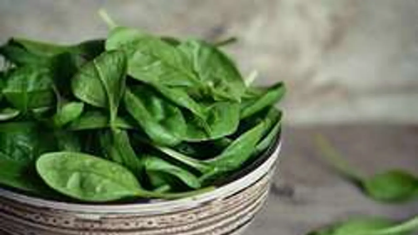 Diétázol, de nincs rá pénzed? Mutatjuk az olcsó megoldást!