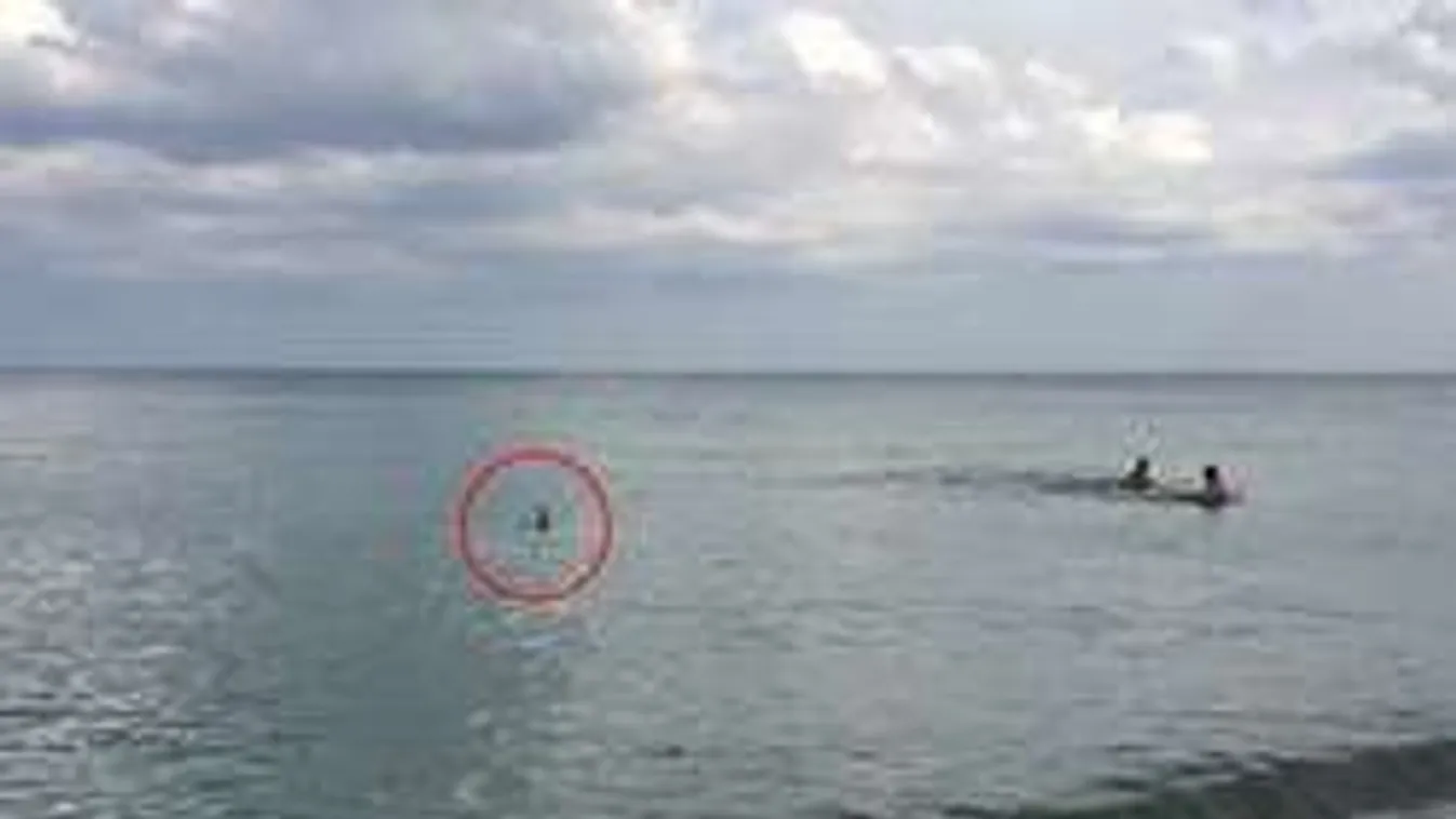 Pánik egy floridai strandon, cápák elől menekültek az emberek