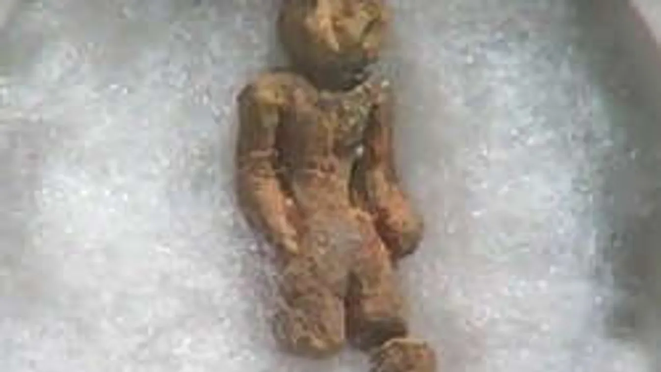 Átírhatja az evolúció elméletét a 2 millió éves szobrocska