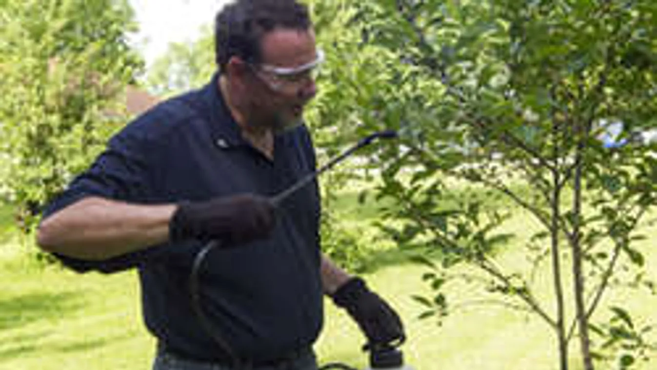 Rákkeltő szerrel kezelnek egy csomó növényt! Megegyük vagy ne együk?