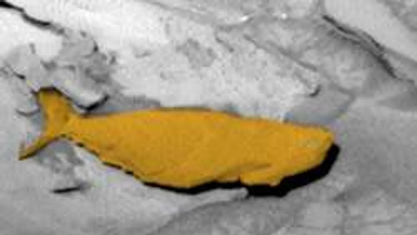 Különös dolgot rögzített a marsjáró kamerája - fotó