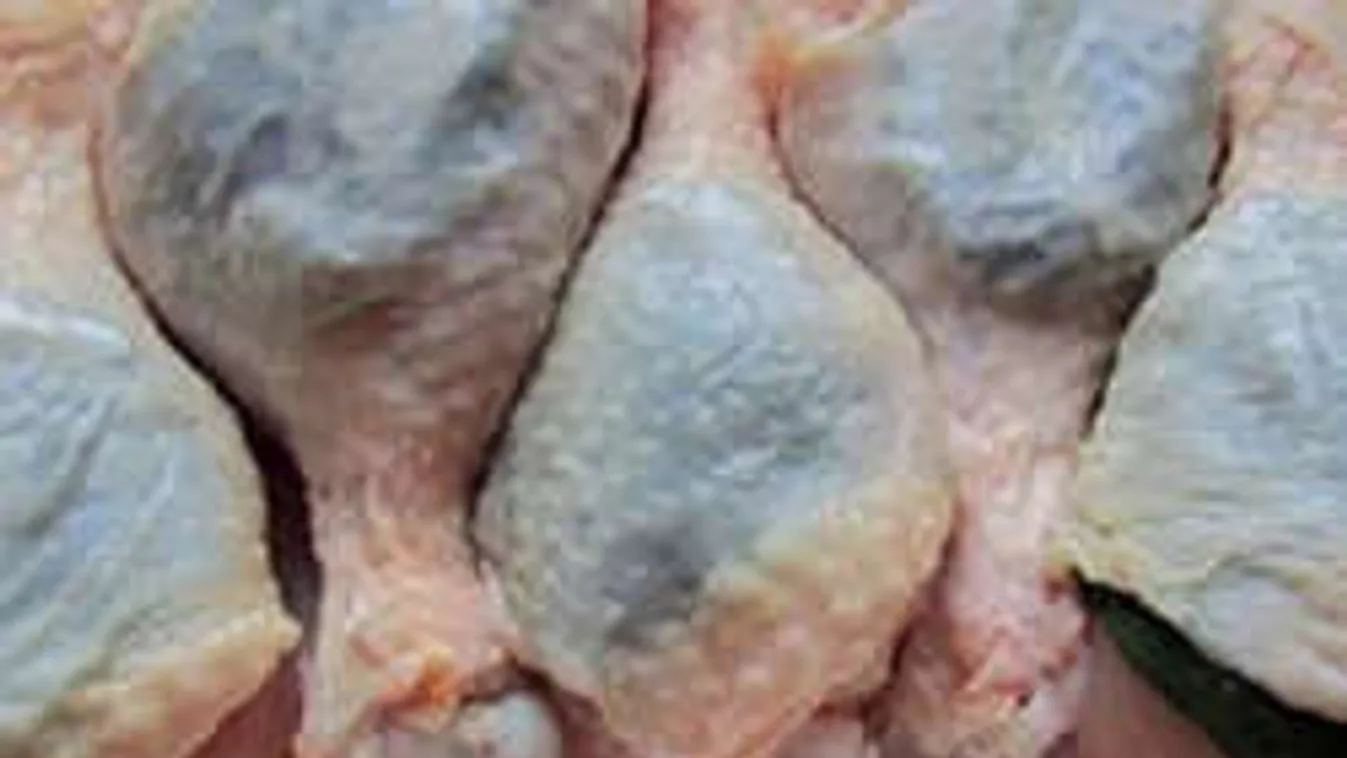 Elismerték: arzént találtak a csirkehúsban!