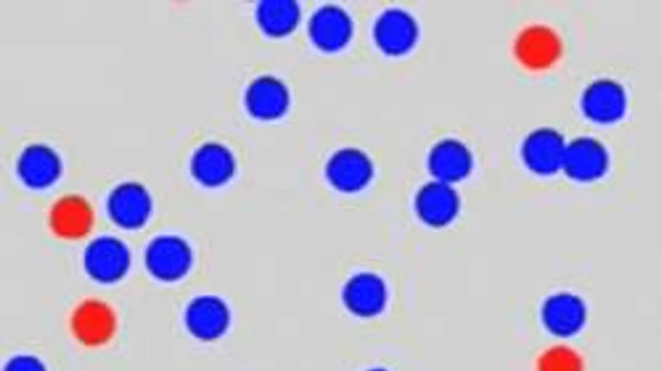 Az emberek 1%-a látja csak a rejtett betűt: Köztük vagy?