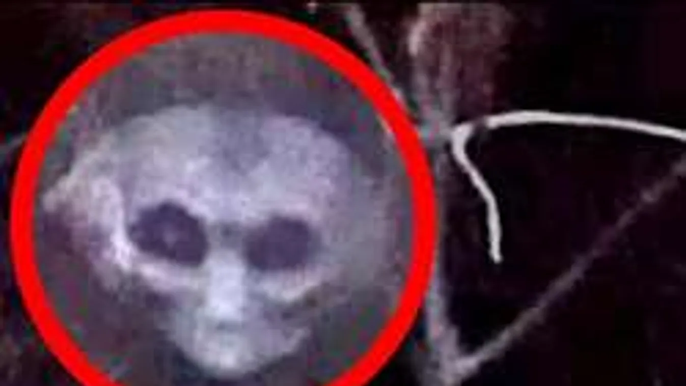 Hátborzongató lényt filmeztek az útszélen Kaliforniában - videó