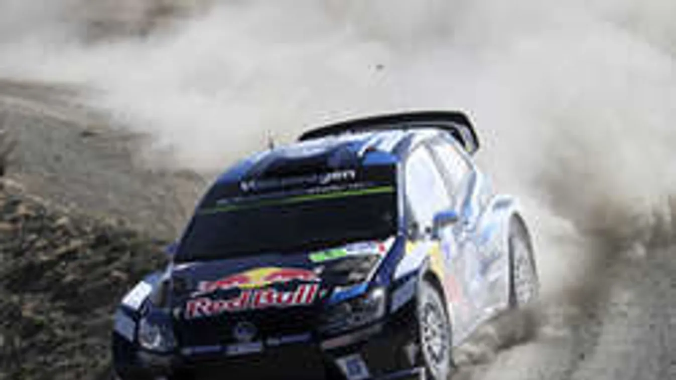 Tehenek hekkelték meg a raliversenyt - Videó