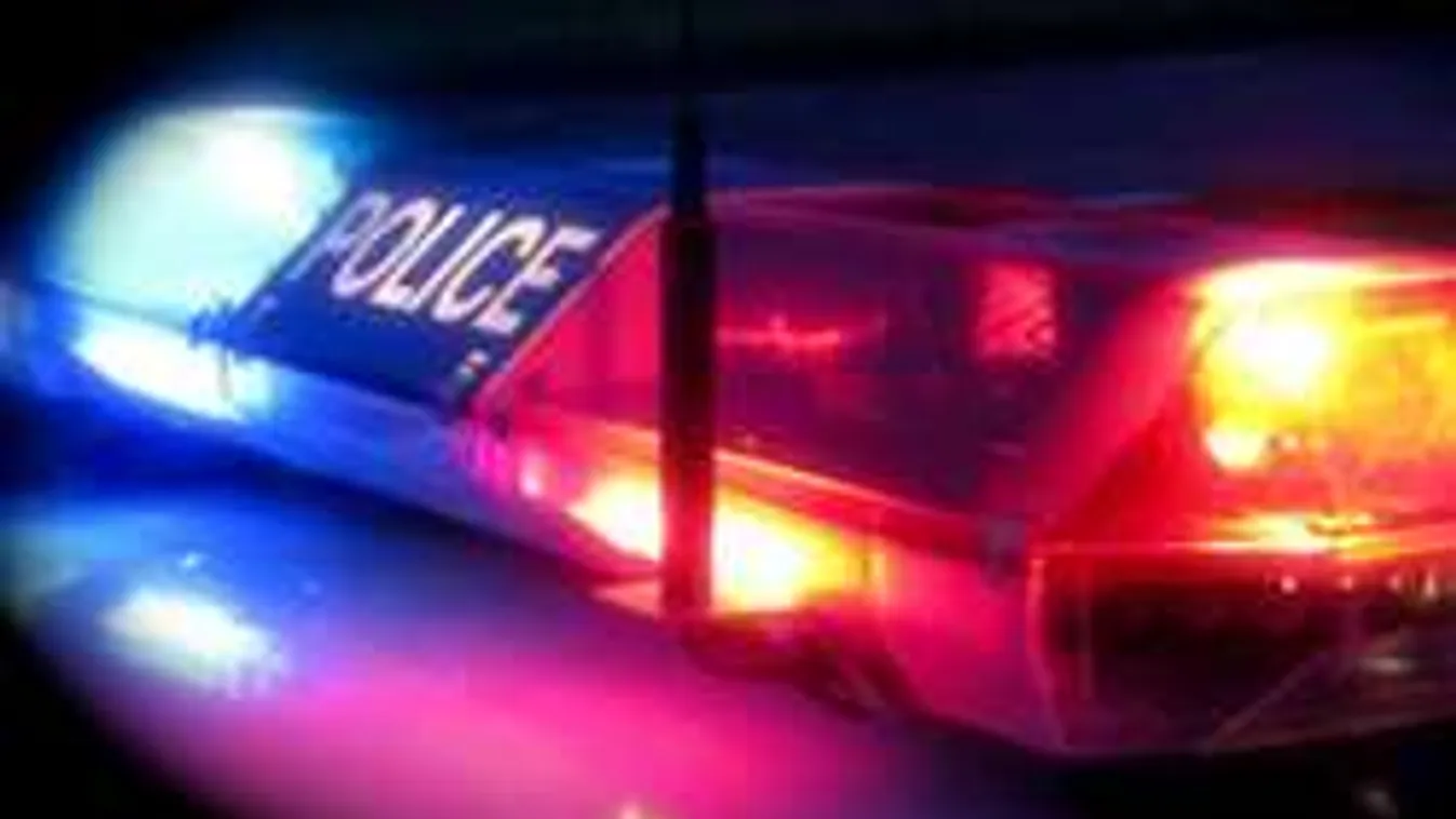 Tucatnyi zsaru és egy rendőrkutya fékezte meg az ámokfutót - videó