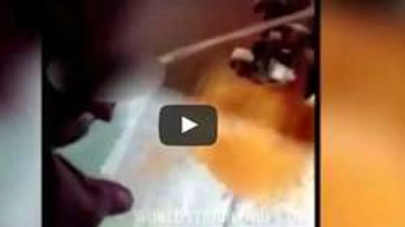 Ez a videó sokkolni fog, ha müzlit vagy gabonapelyhet szoktál enni