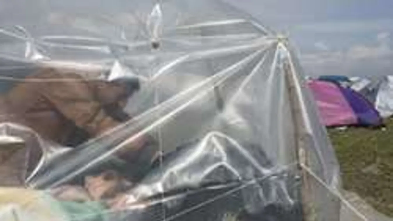 A magyar határon vertek tábort a migránsok