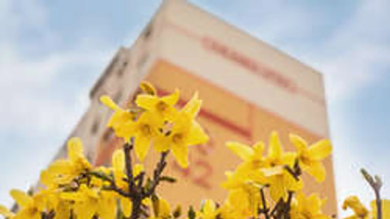 Hétköznapi csoda a Havanna lakótelepen