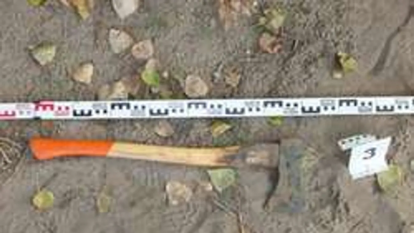 Baltával indult bosszút állni, de rossz címre ment