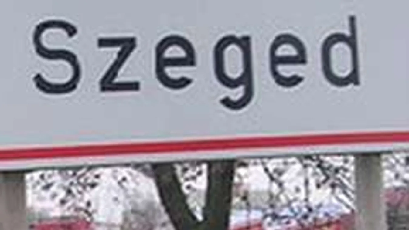 Ellenőrök elől menekült, elütötték