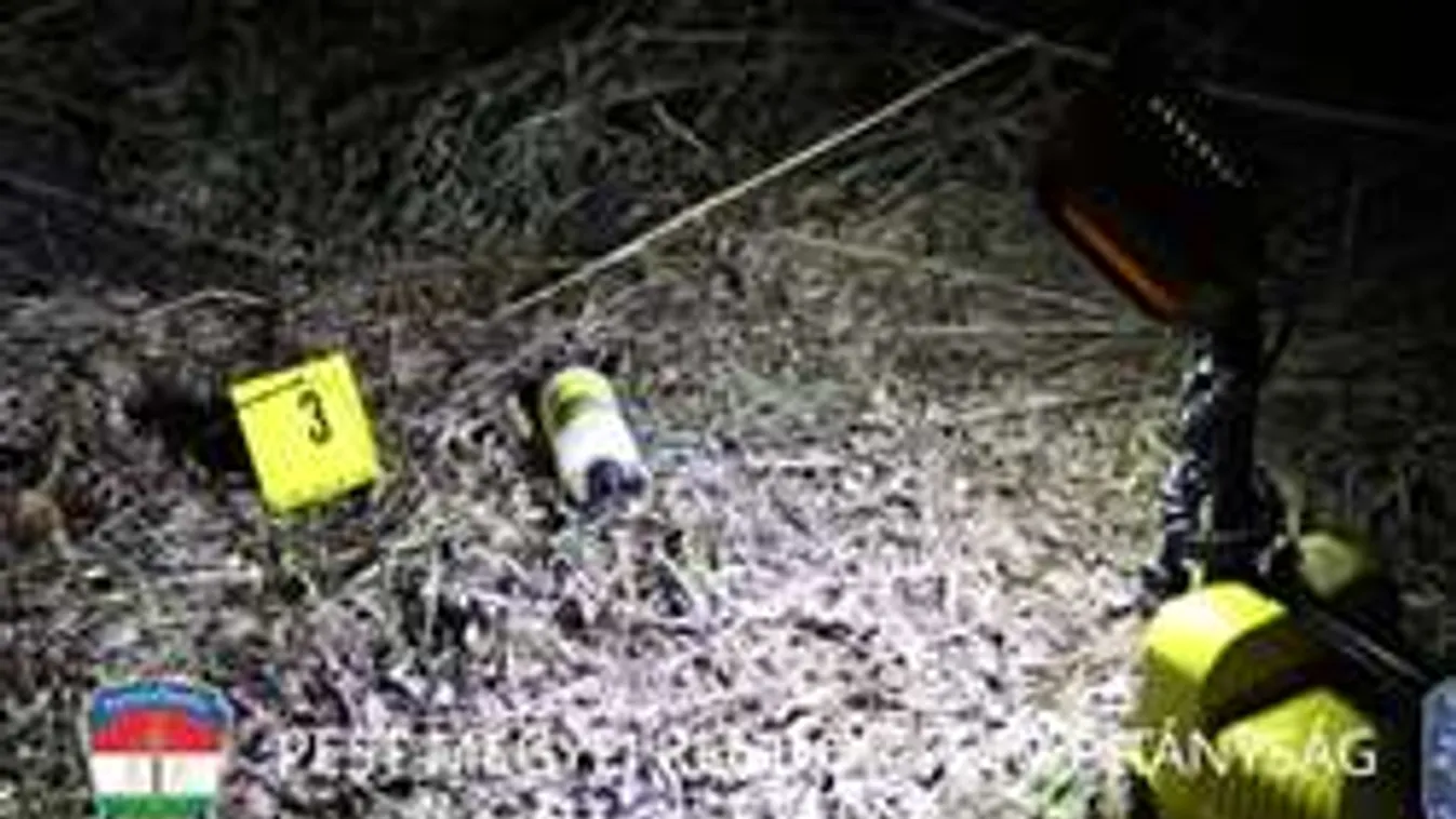 Bedrogozva, egy játszótéren ölhette meg Vivient volt osztálytársa