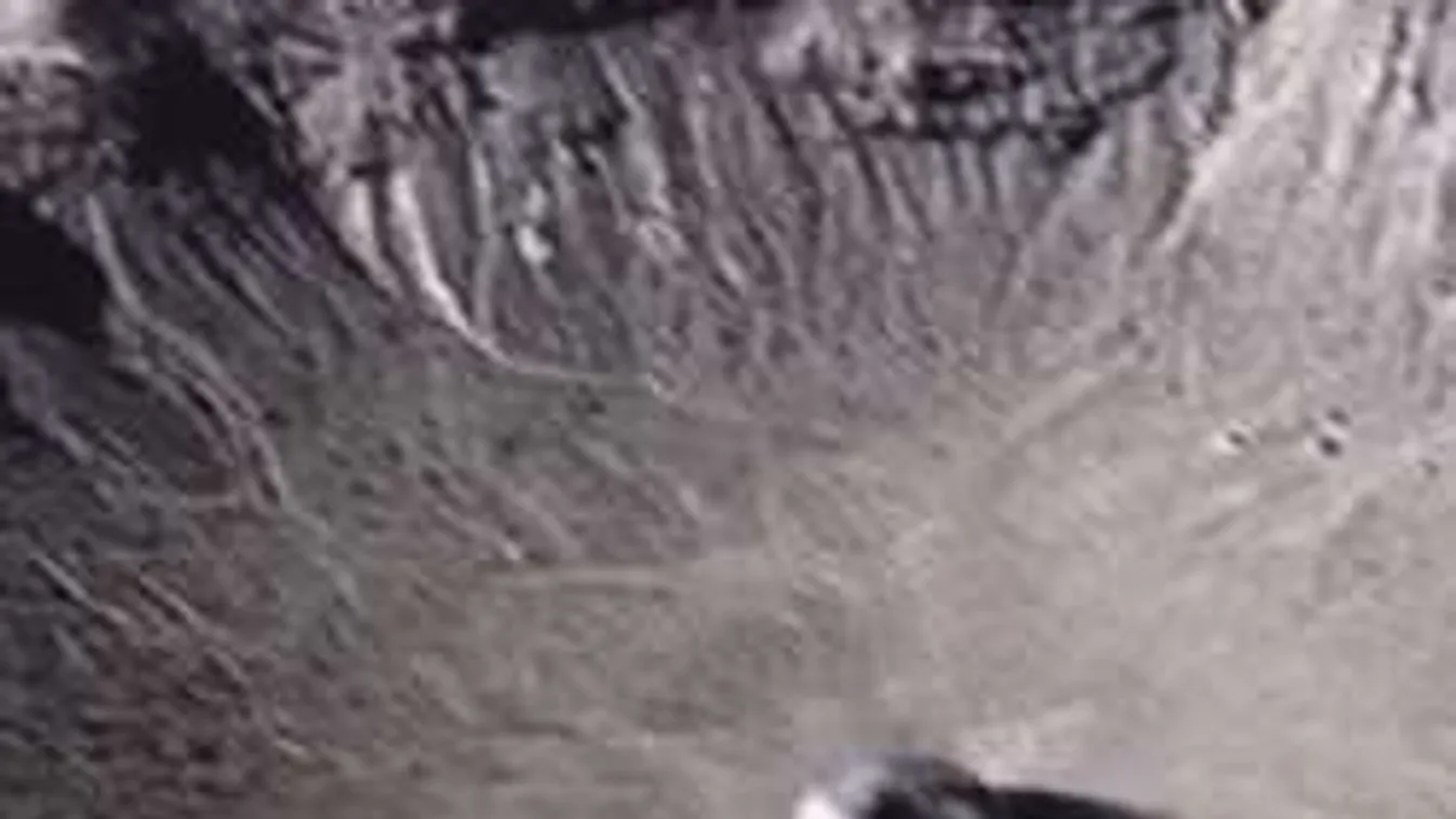 Lezuhant ufót kaptak lencsevégre a nevadai sivatagban! - videó