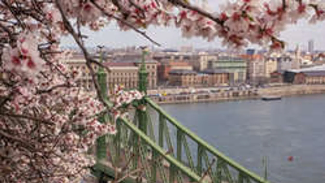 Hihetetlen! A Szabadság híd korlátján tolja egy nő a babakocsit! - Fotó!