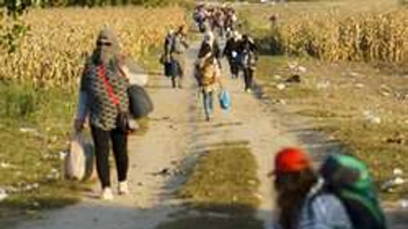 Német miniszter: Tiszteljék a sörözést és a virslizést a migránsok!