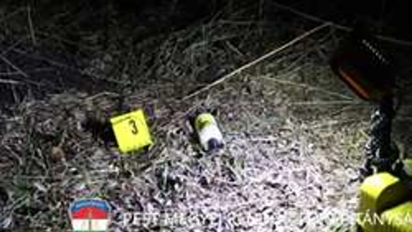 Újabb megrázó részletek a Budapestről eltűnt Vivien gyilkosságáról