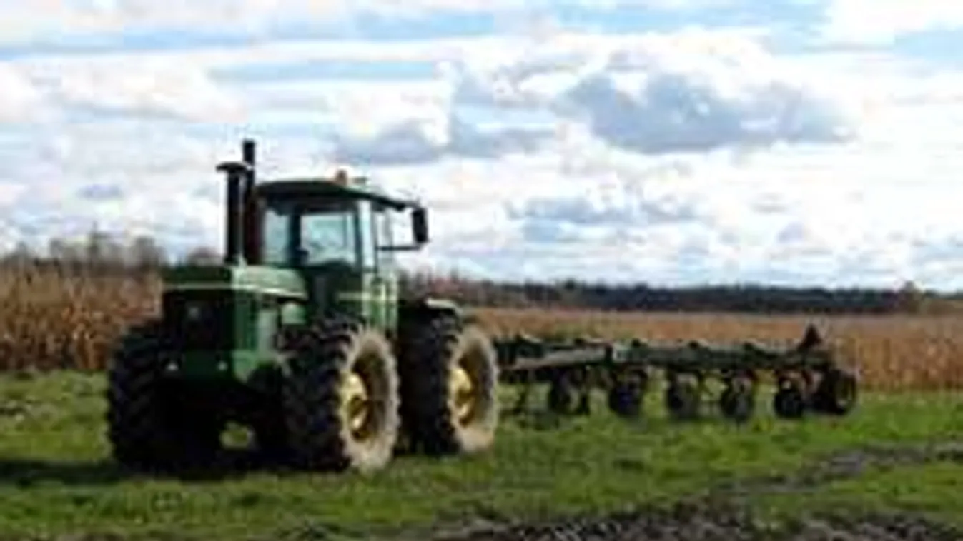 Női holttestre bukkantak egy dunántúli szántóföldön!