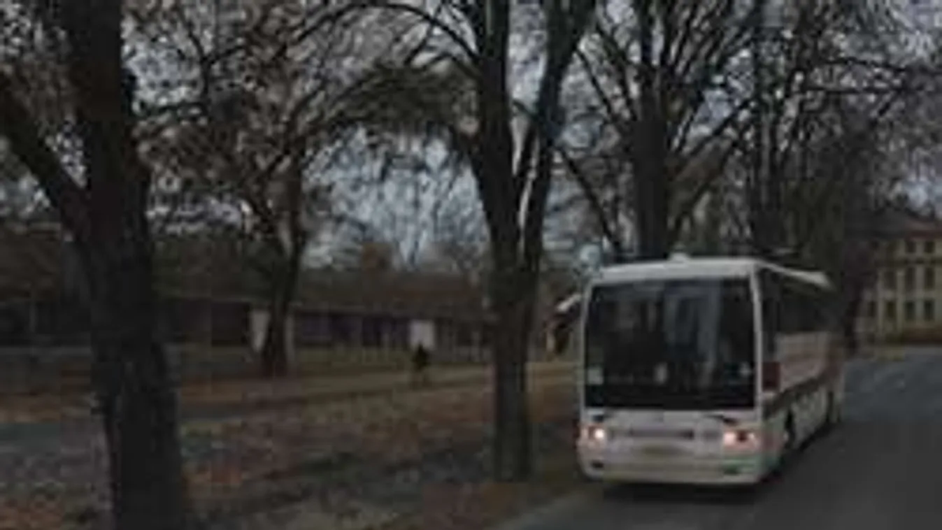 Elaludt a busz sofőrje, mindenki meghalt, csak ő nem