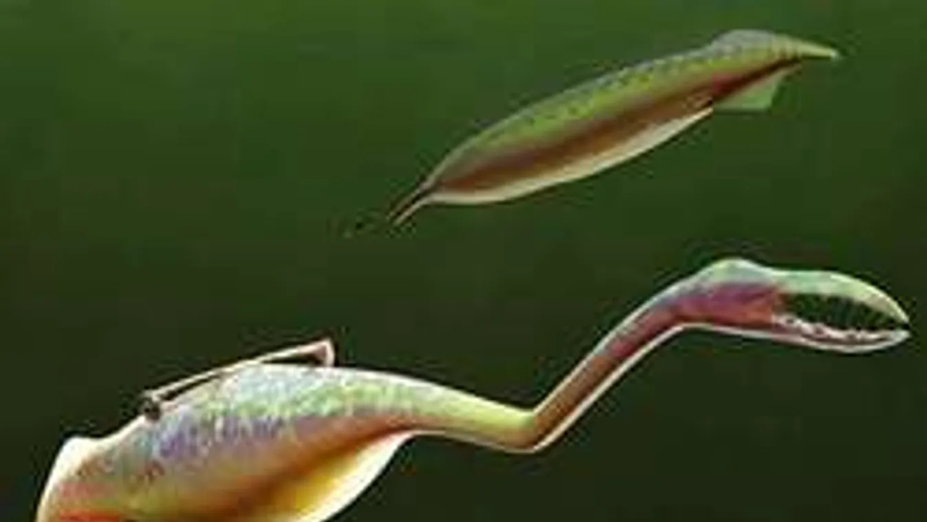 Ilyet még nem láttál: rémisztő szörnyre bukkantak egy szénbányában