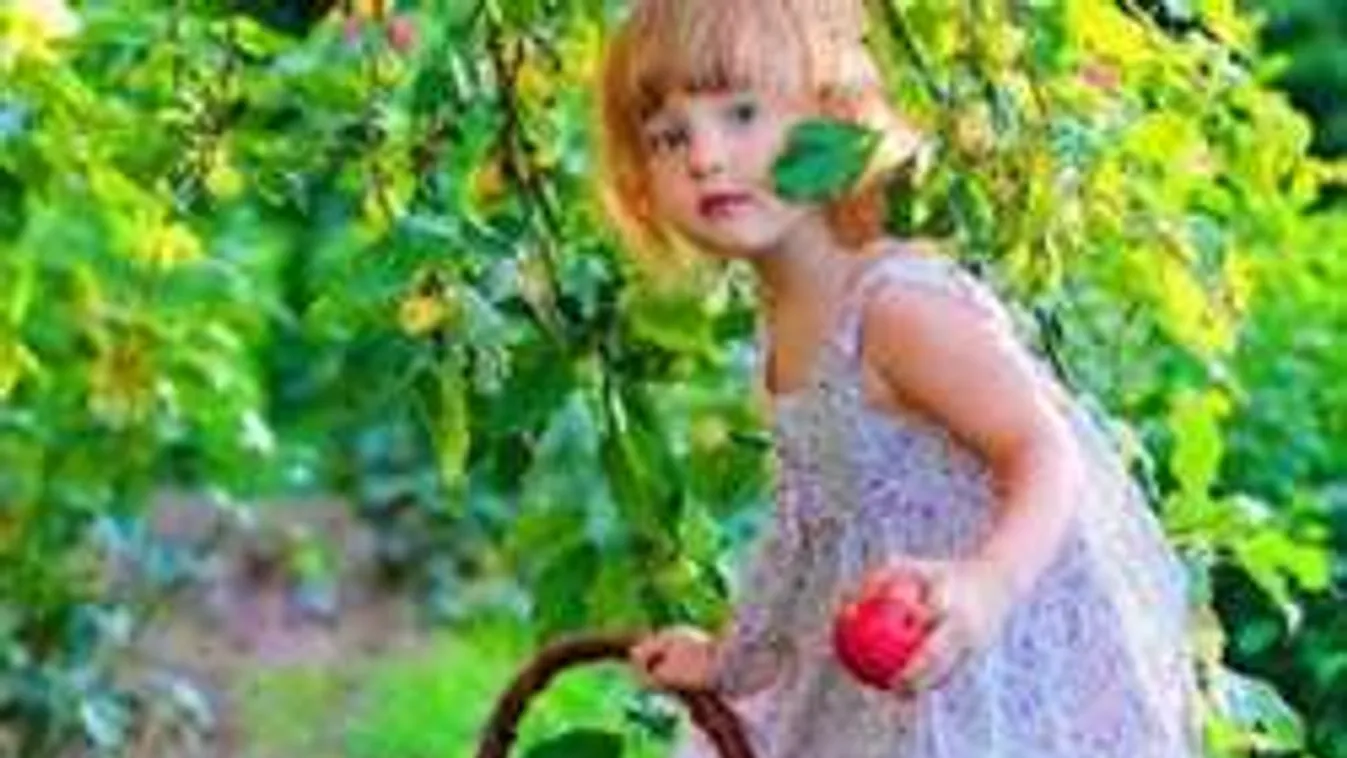 A hátsó kiskert már a múlté: így termesztünk majd a Marson is