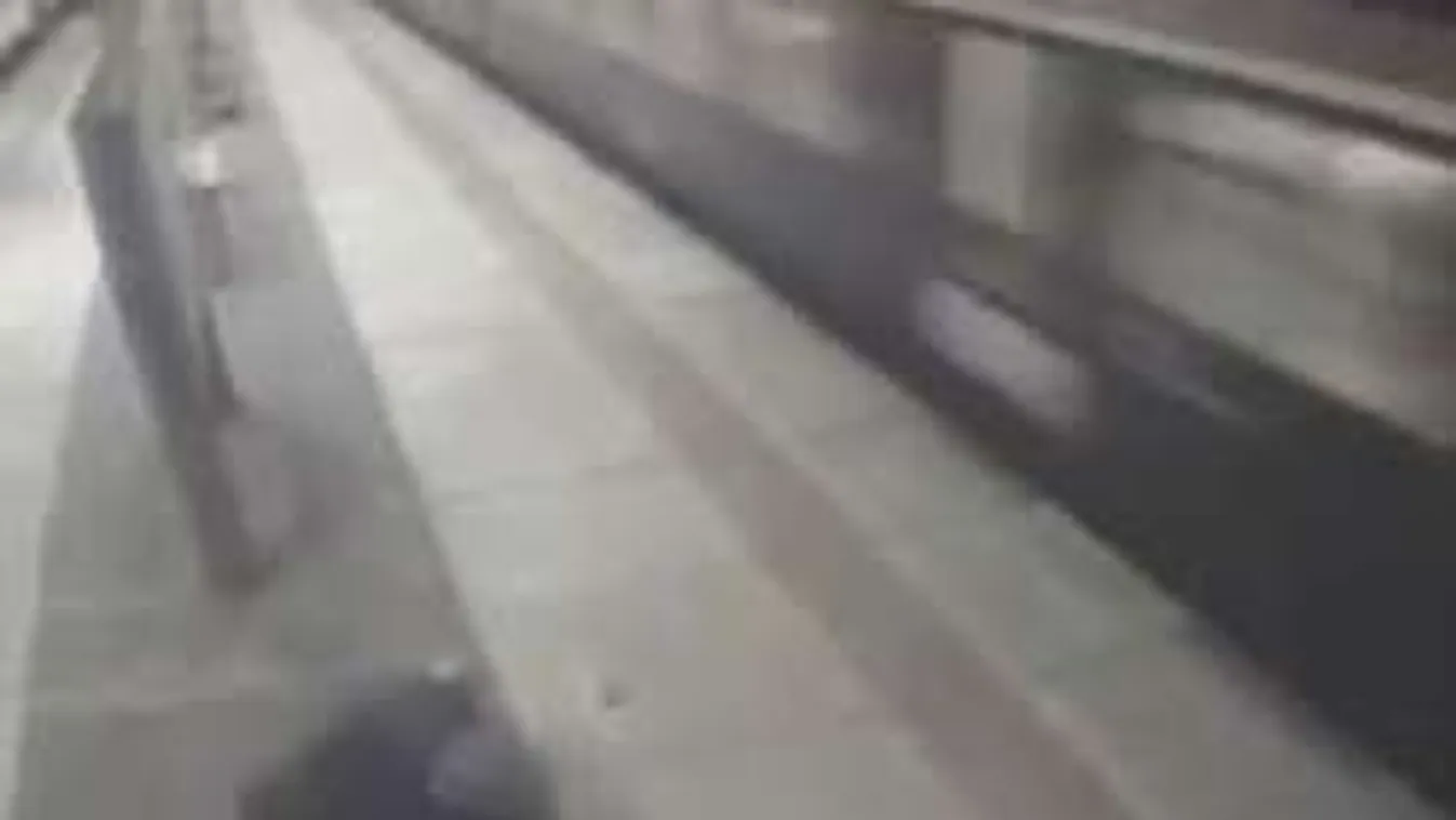 A hét mázlistája: 120-al száguldó vonat csapta el, mégis túlélte