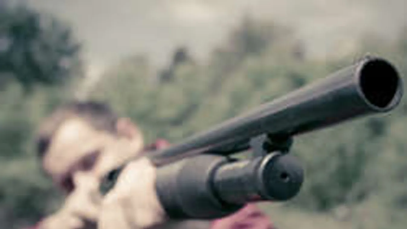 Fejbe lőtt egy macskát, 11 évet is kaphat a kecskeméti férfi