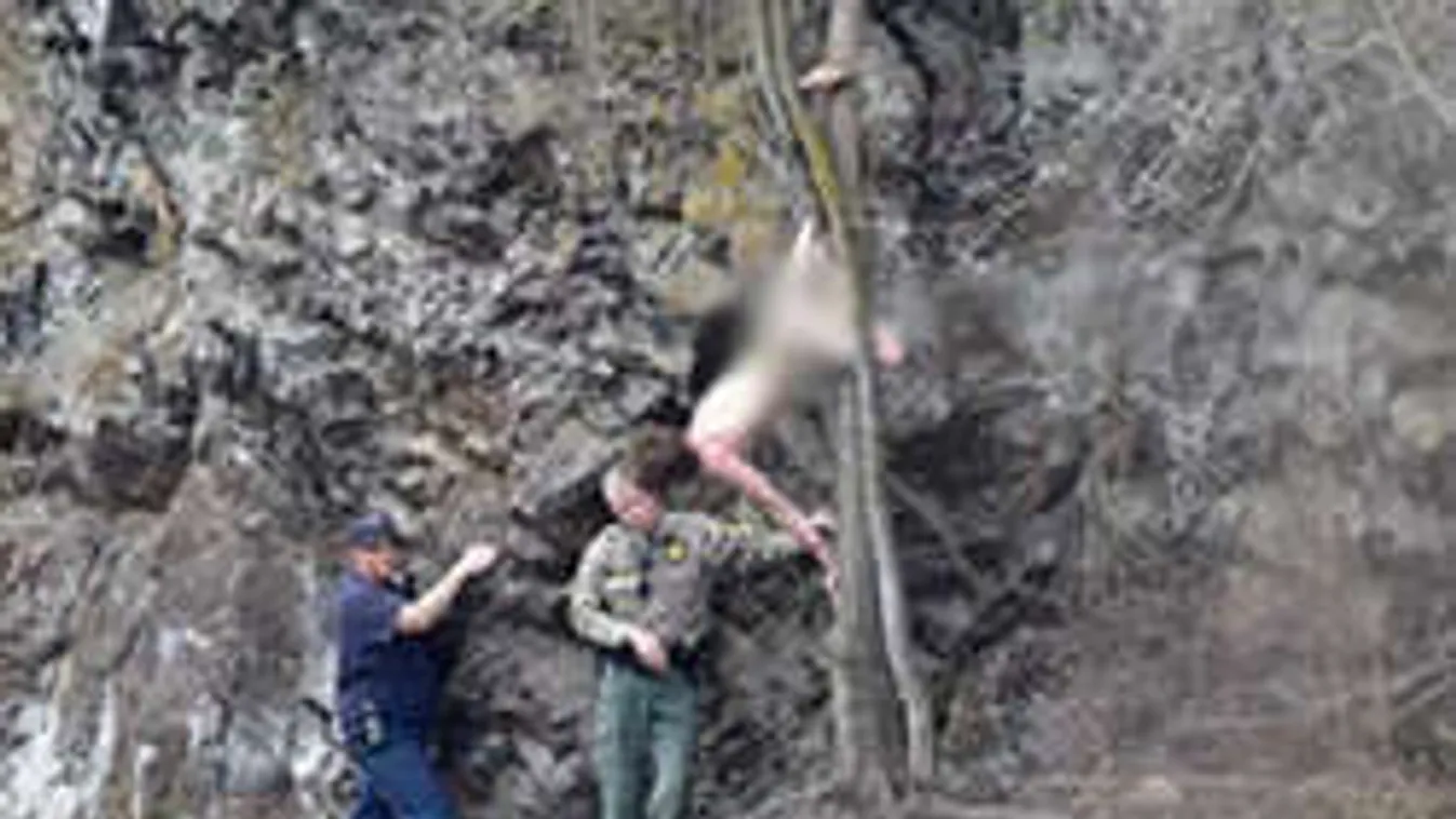 Meztelen ebéd: a hívatlan látogatón nem volt ruha