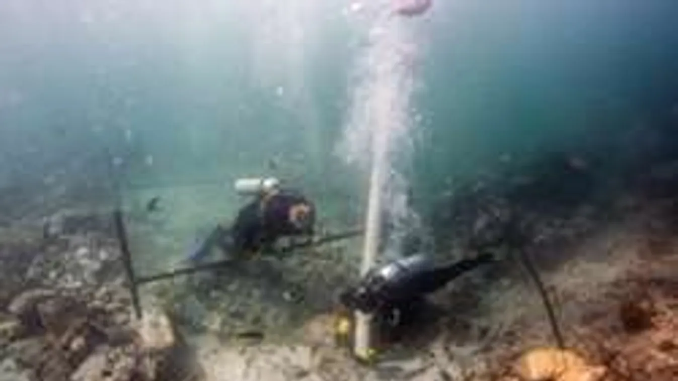 Szellempénzt rejtett Vasco da Gama 500 éve elsüllyedt hajója