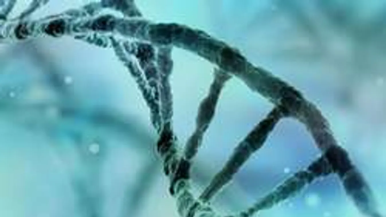 Mindannyian autisták vagyunk, bennünk a kód!