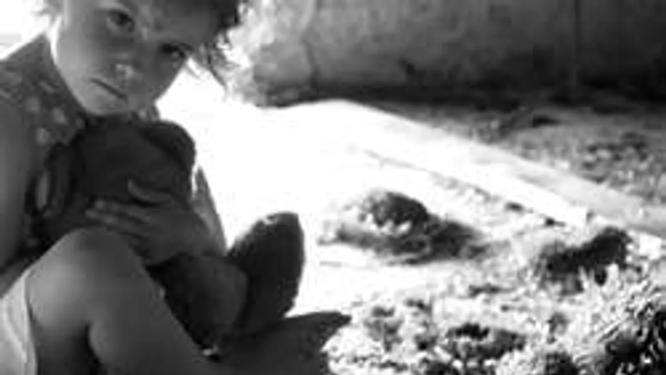 Szomszédja WIFI-jelszavával töltött le gyerekpornót