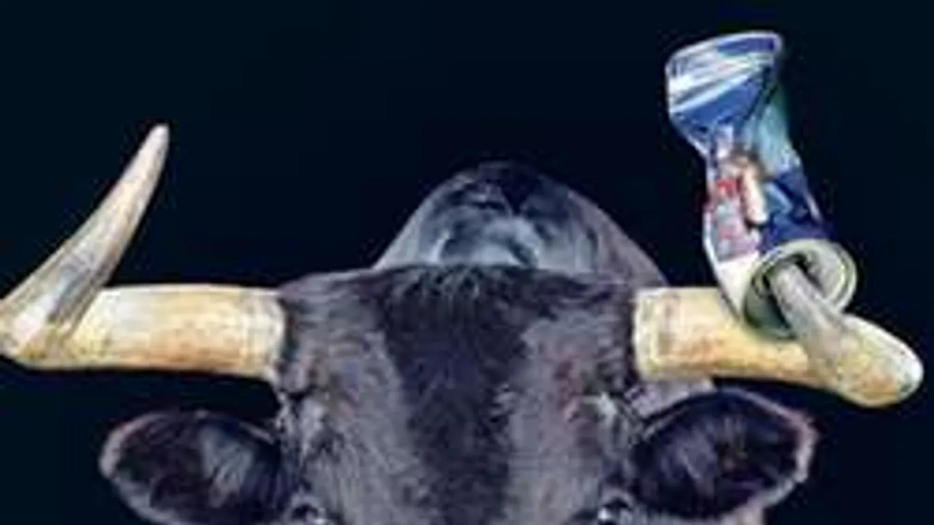 Õrült költekezésbe kezd a magyar focista klubja