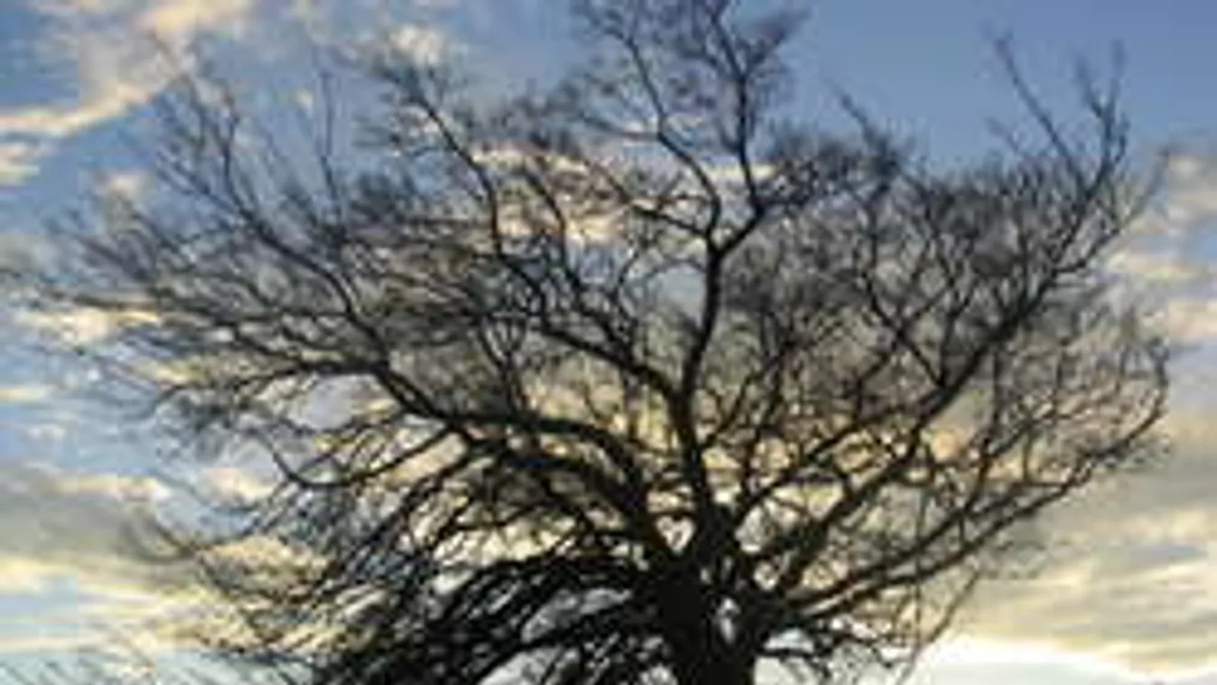 Ez rontja majd el a hosszú hétvégénket!