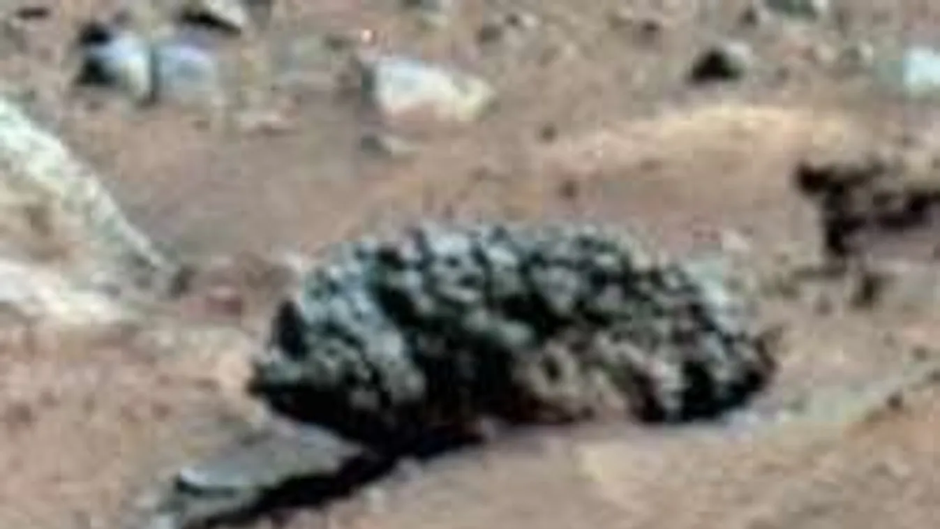 Hátborzongató: Sikoltó űrlény fejét találták meg a Marson! - Fotó