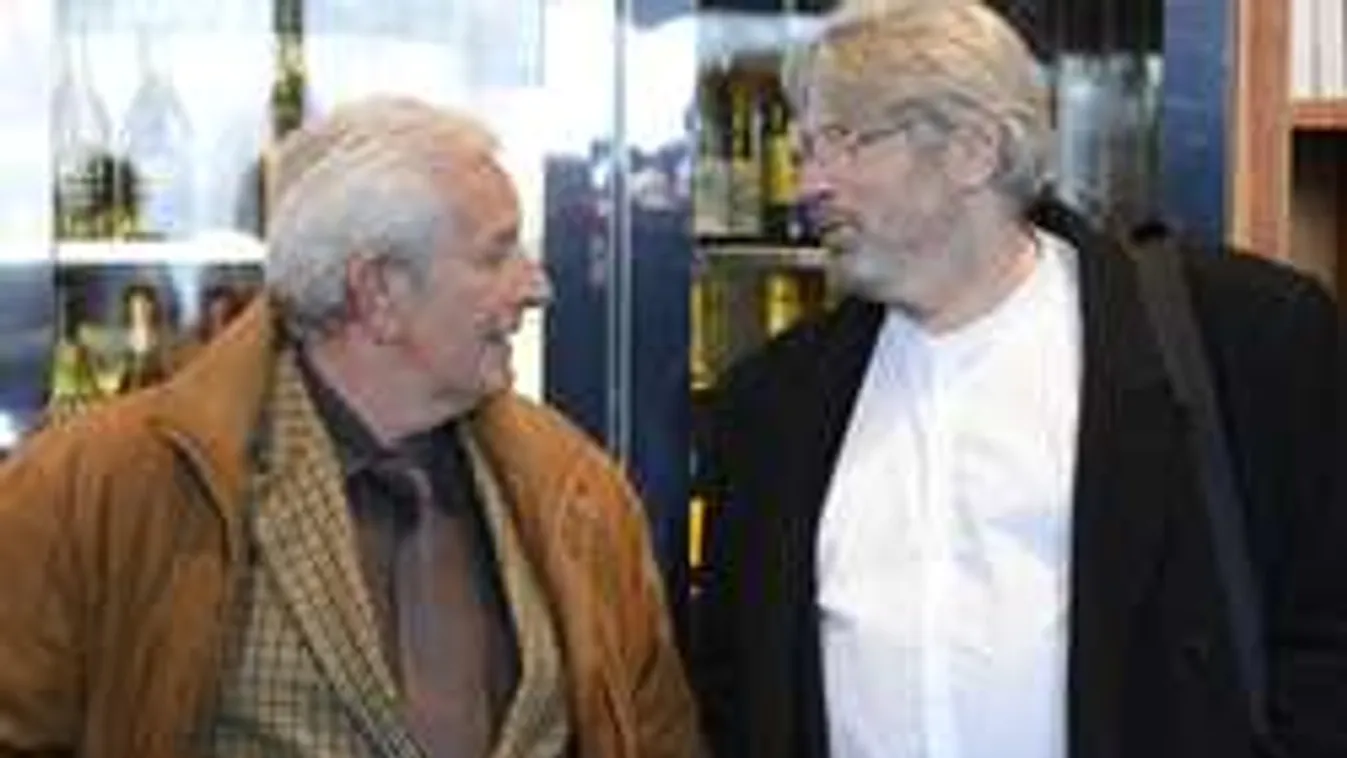 Kiss László-ügy. Tényleg a szülők hibáztak?