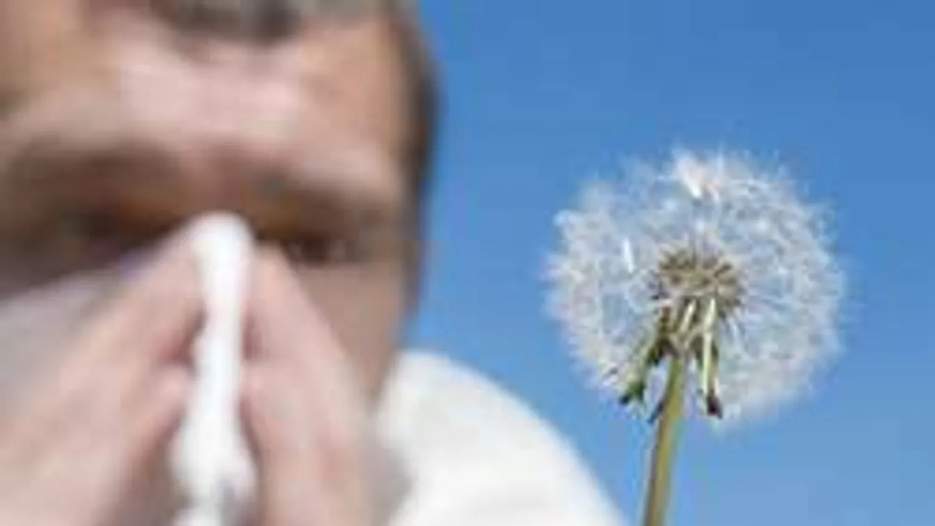 Hárommillió ember életét keseríti meg az áprilisi nyár!