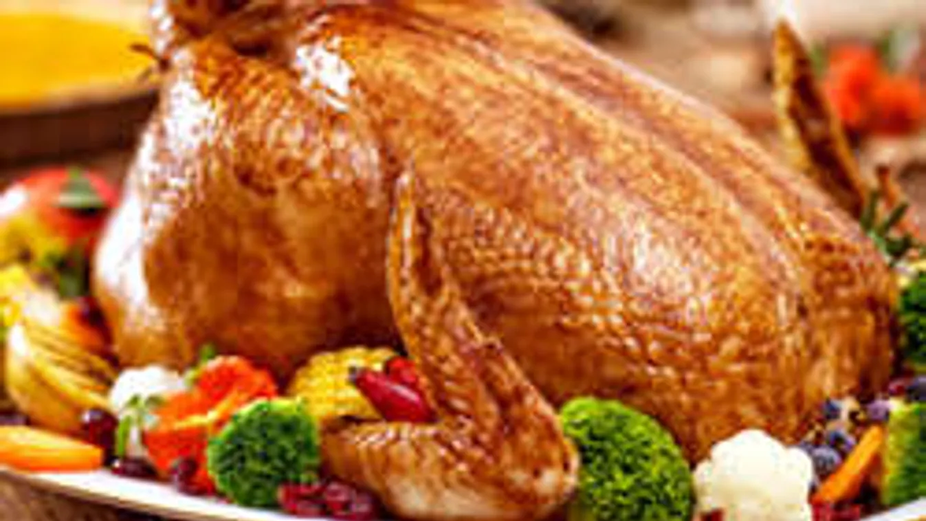 Ennyivel csökkenhet a pulyka- és a csirkehús ára jövőre!