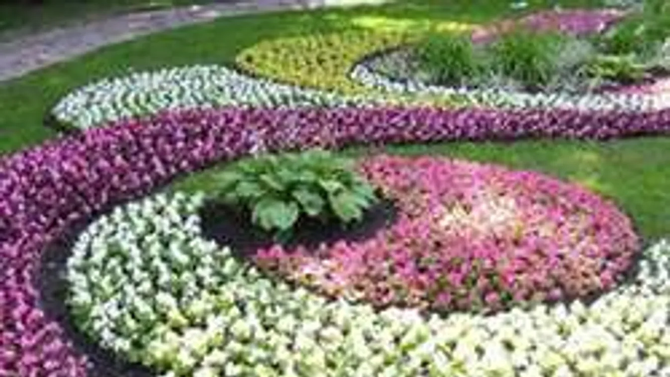 Ezért szúrj a virágágyásba műanyag villát! Csodát tesz!