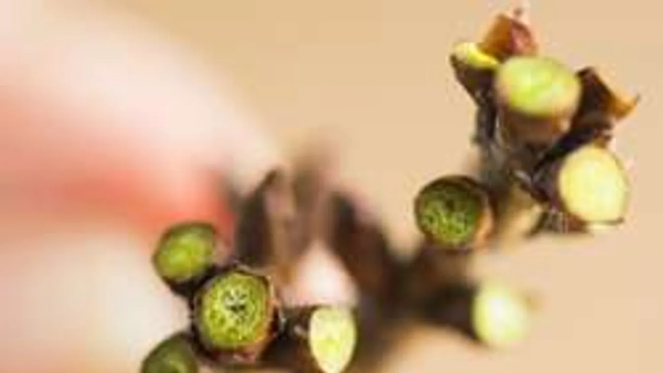 Nem fogja megköszönni a termés a hirtelen jött meleget!