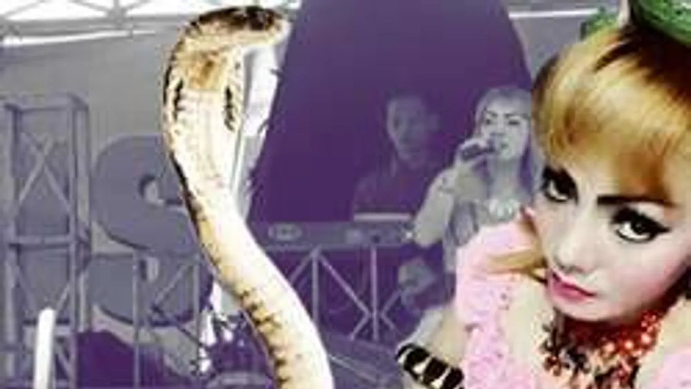 Így halt meg a popsztár: elképesztő haláltusa a színpadon