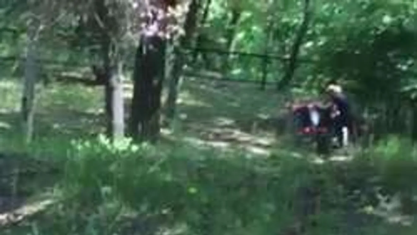 Fényes nappal, egy parkban szexelt a perverz miskolci pár - Videó