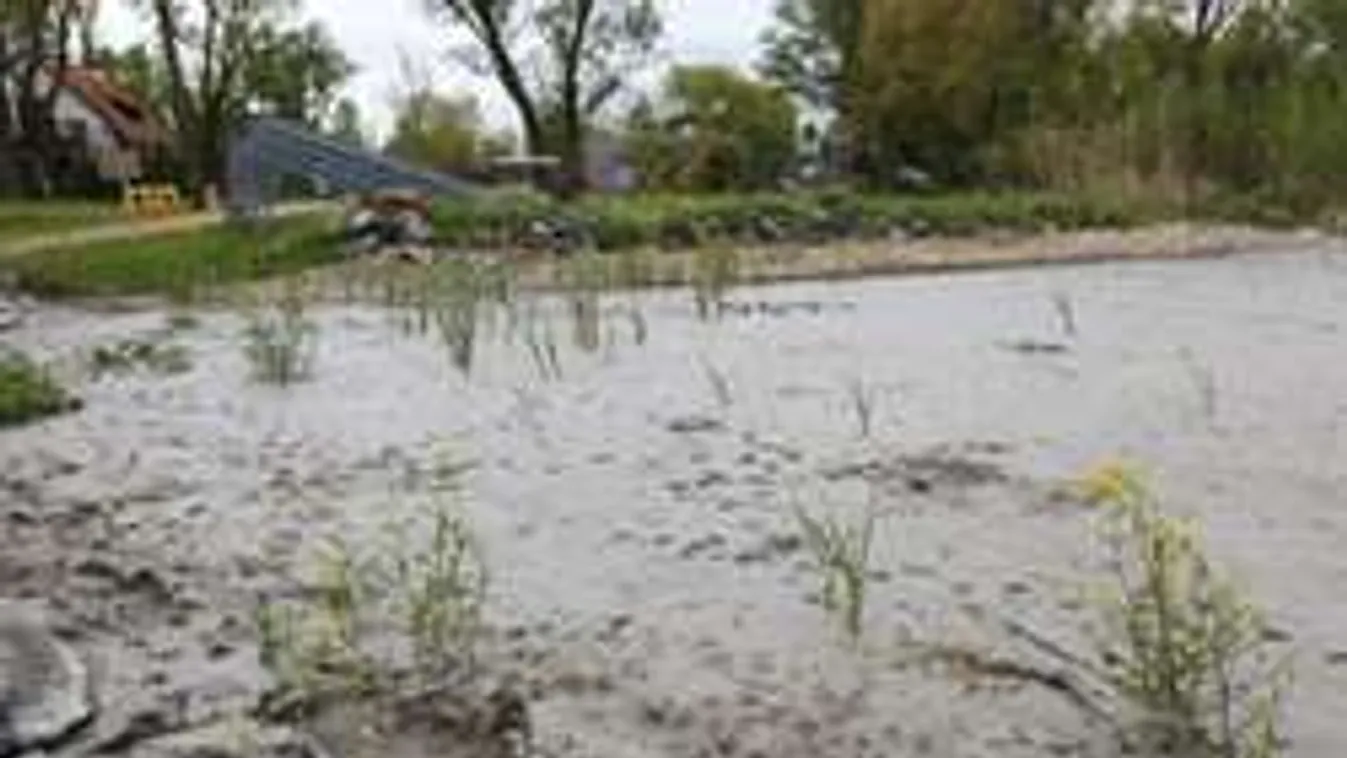 Rejtélyes iszaptenger tüntette el a balatoni strandot! - Fotók