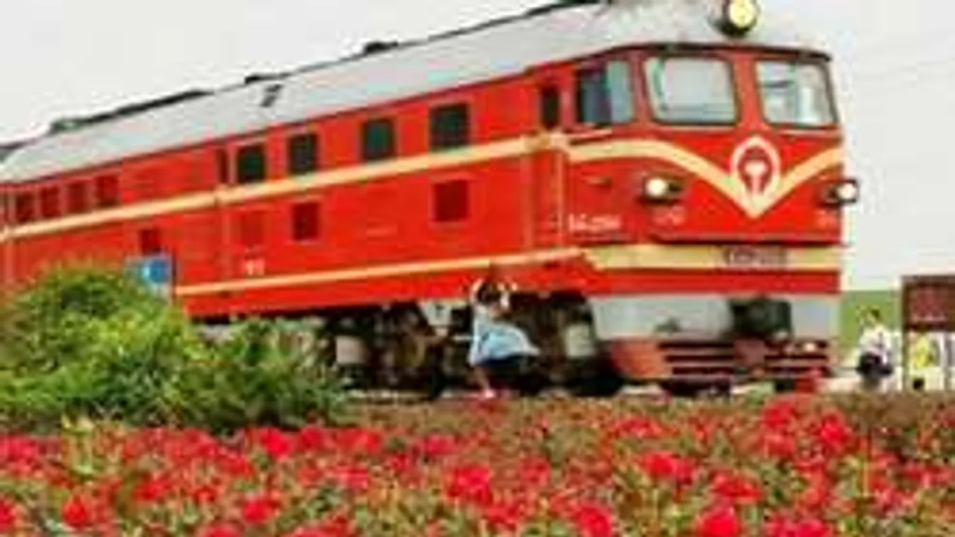 Szegény lány belehalt a szelfizésbe!