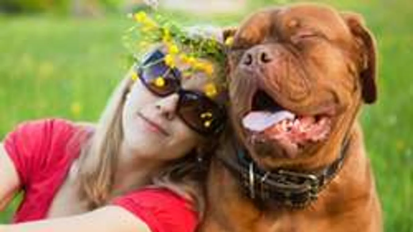 Ezért adj a kutyádnak rendszeresen petrezselymet!